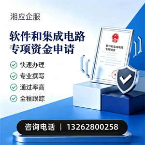 大同软件和集成电路专项资金申报服务