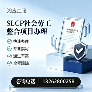 大同SLCP社会劳工整合项目申报服务