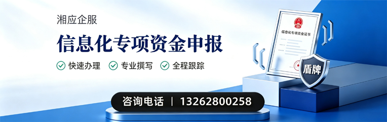 大同信息化专项资金申报服务