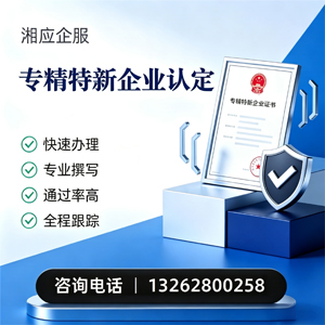 大同专精特新企业申报服务