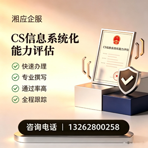 大同CS信息系统化能力评估申报服务