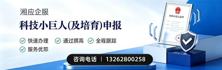 大同科技小巨人及培育企业申报服务