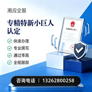大同专精特新小巨人申报服务