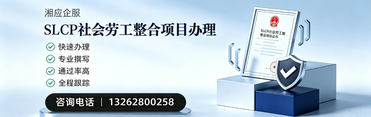 大同SLCP社会劳工整合项目申报服务