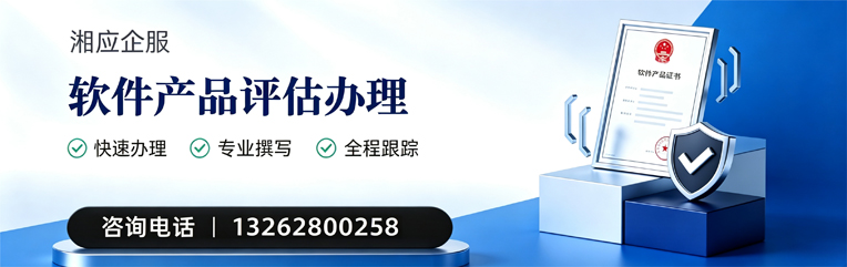 大同软件产品评估服务