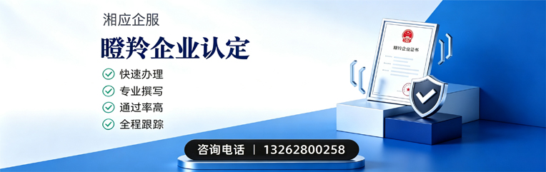 大同瞪羚企业认定申报服务