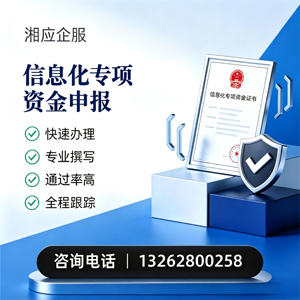 大同信息化专项资金申报服务