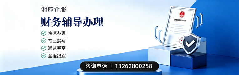 大同财务辅导申请服务