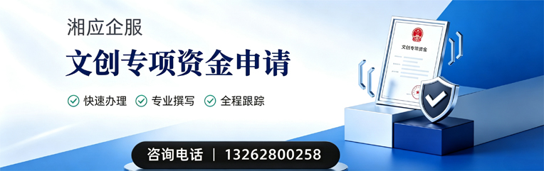 大同文创专项资金申报服务