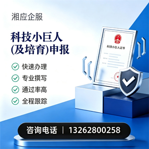 大同科技小巨人及培育企业申报服务