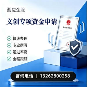 大同文创专项资金申报服务