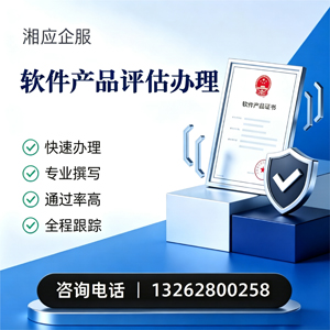 大同软件产品评估服务