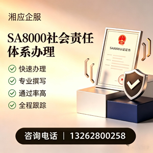 大同SA8000社会责任体系认证服务