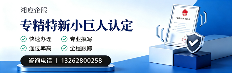 大同专精特新小巨人申报服务